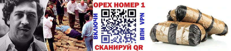 закладка  Приозерск  Cocaine 99% 