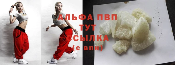 винт Инта