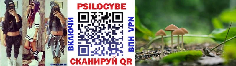 Галлюциногенные грибы Magic Shrooms  купить   Приозерск 