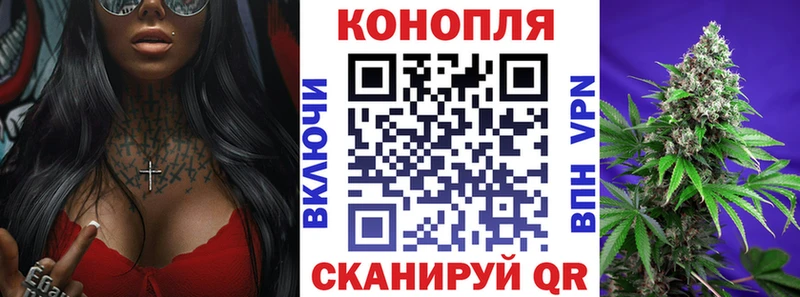 Шишки марихуана AK-47  магазин продажи   Приозерск 